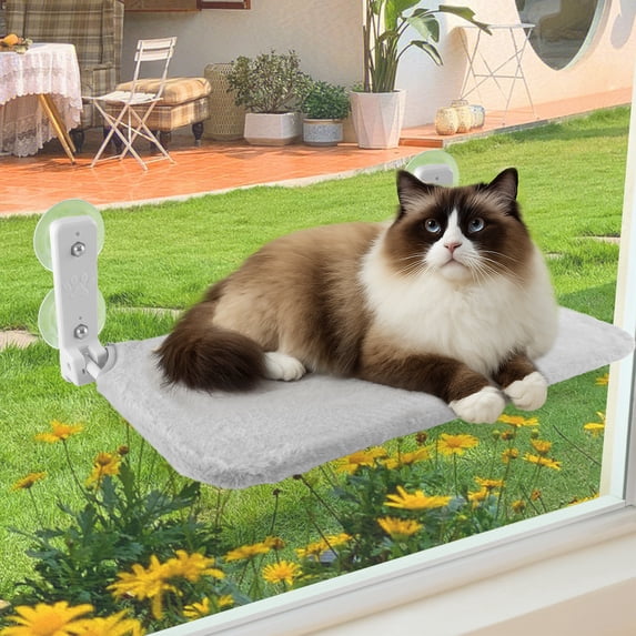 Cat Perch